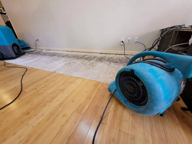 Professional Structural Drying technician working in Arlington, MA